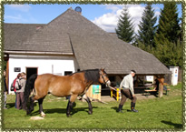 Novohradska Forge